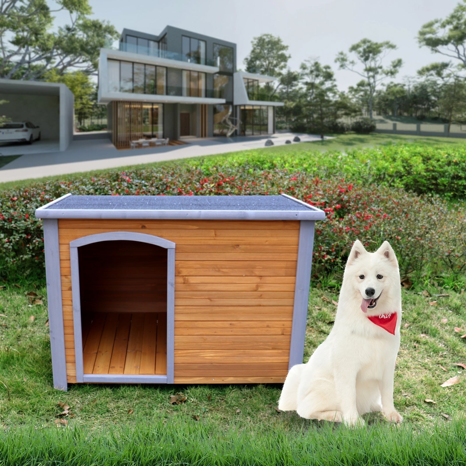 Dog-Supplies InSpaceX Fashion