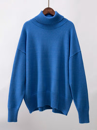 Turtleneck Long Sleeve Sweater Trendsi