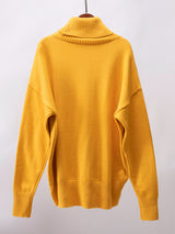 Turtleneck Long Sleeve Sweater Trendsi