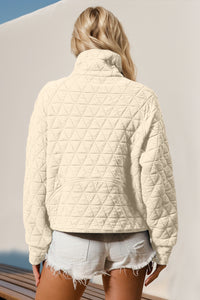 Double Take Half Zip Long Sleeve Quilted Sweatshirt with Pocket Trendsi