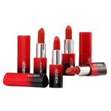 Hot Selling Artmiss Lipstick Wholesale 4 Colors Set Long Lasting High Pigment Soft Texture Matte Lipstick Set-0