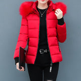 New Down Jacket Women's Parkas Classic Short Overcoat Warm Hooded AliExpress